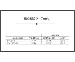 ΣΑΛΟΝΙ "RICARDO" - Εικόνα 4